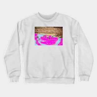 Flamingos Crewneck Sweatshirt